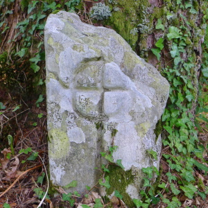 Ray cross 1