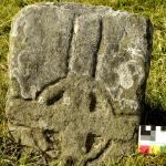 cooley long stype cross 1