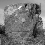 cooley skeuo cross 2